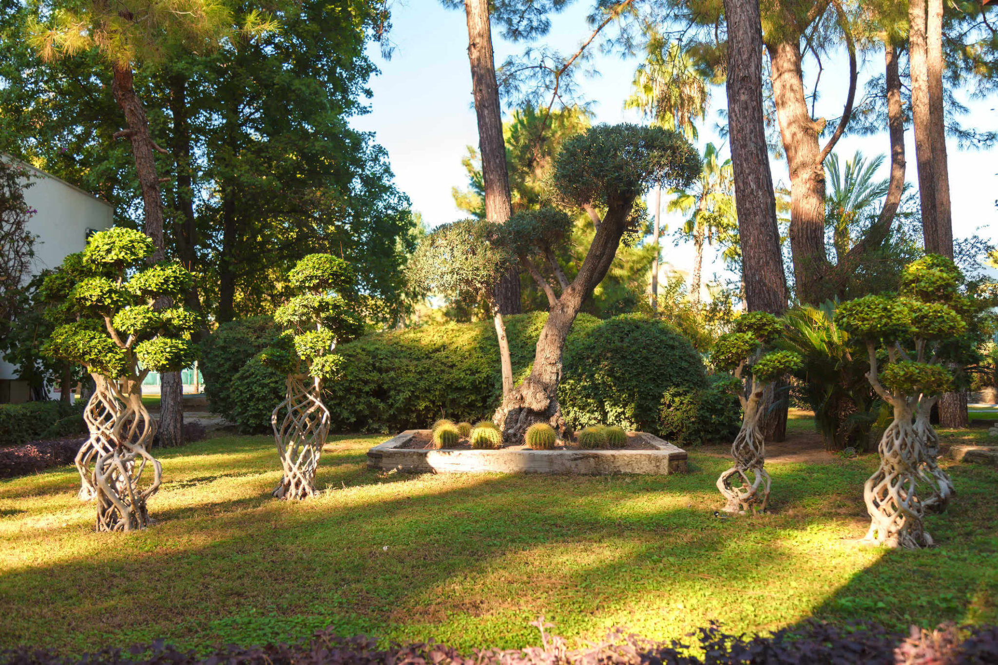 why-buy-a-riding-lawn-mower-save-time-energy-and-enjoy-yardwork