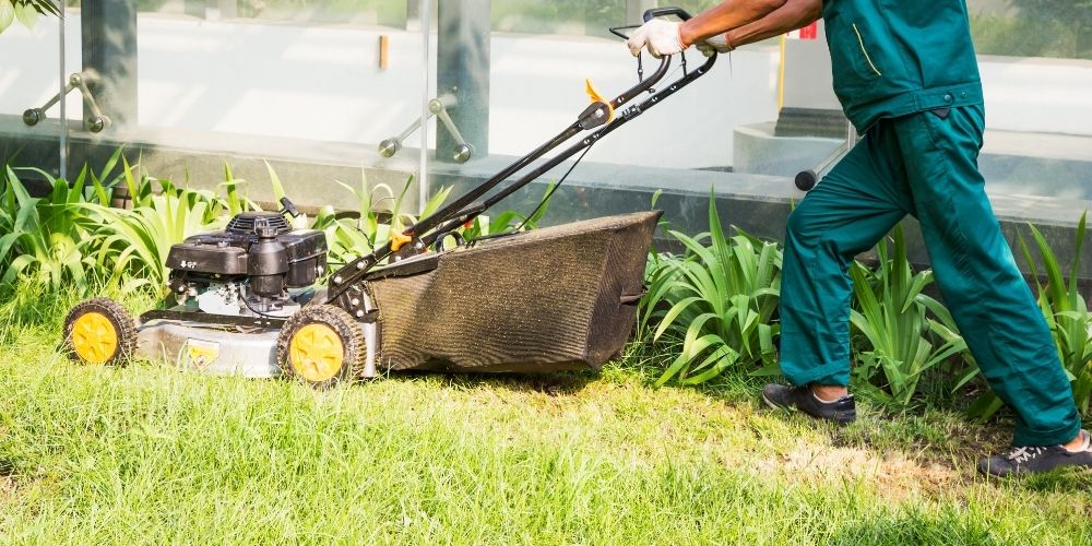 best lawn mowers for seniors
