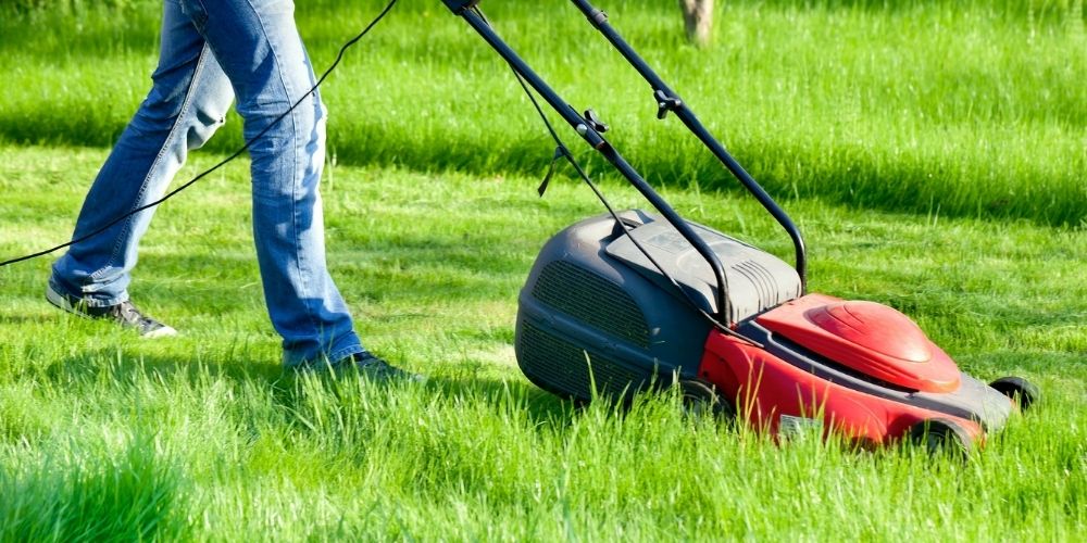 best lawn mower under $500