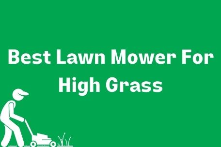 Best Lawn Mower For High Grass Image