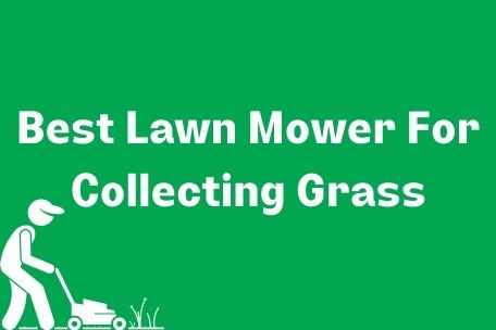Best Lawn Mower For Collecting Grass Image