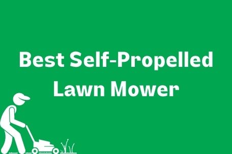 Best Self Propelled Lawn Mower Image