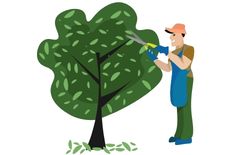Tree Trimming Icon