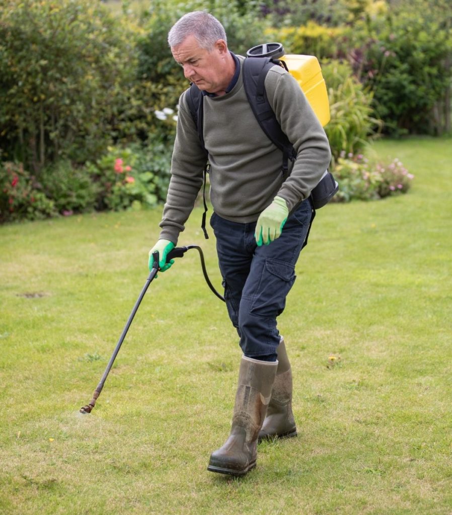 a man using weed killer on his lawn